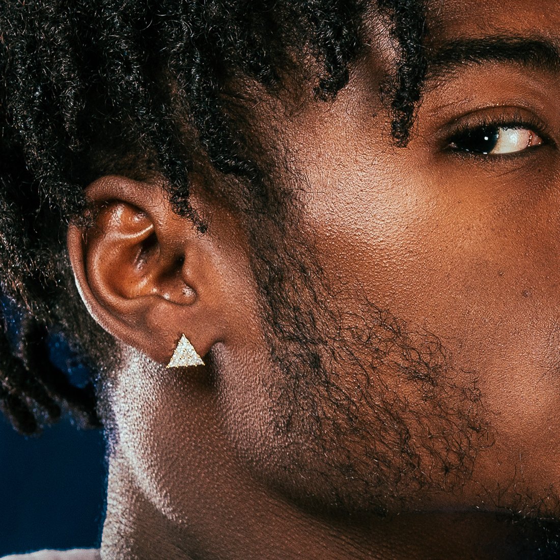 Trinus Earrings in by King Ice