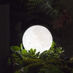 Rechargeable Moon Light with Music Player